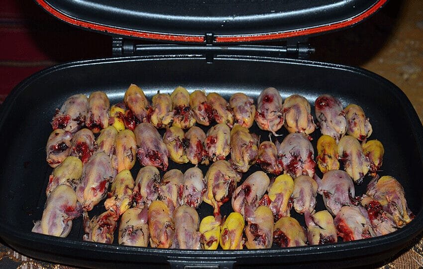 طريقة طبخ طيور الدخل